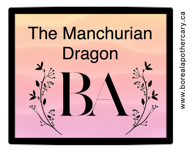The Manchurian Dragon