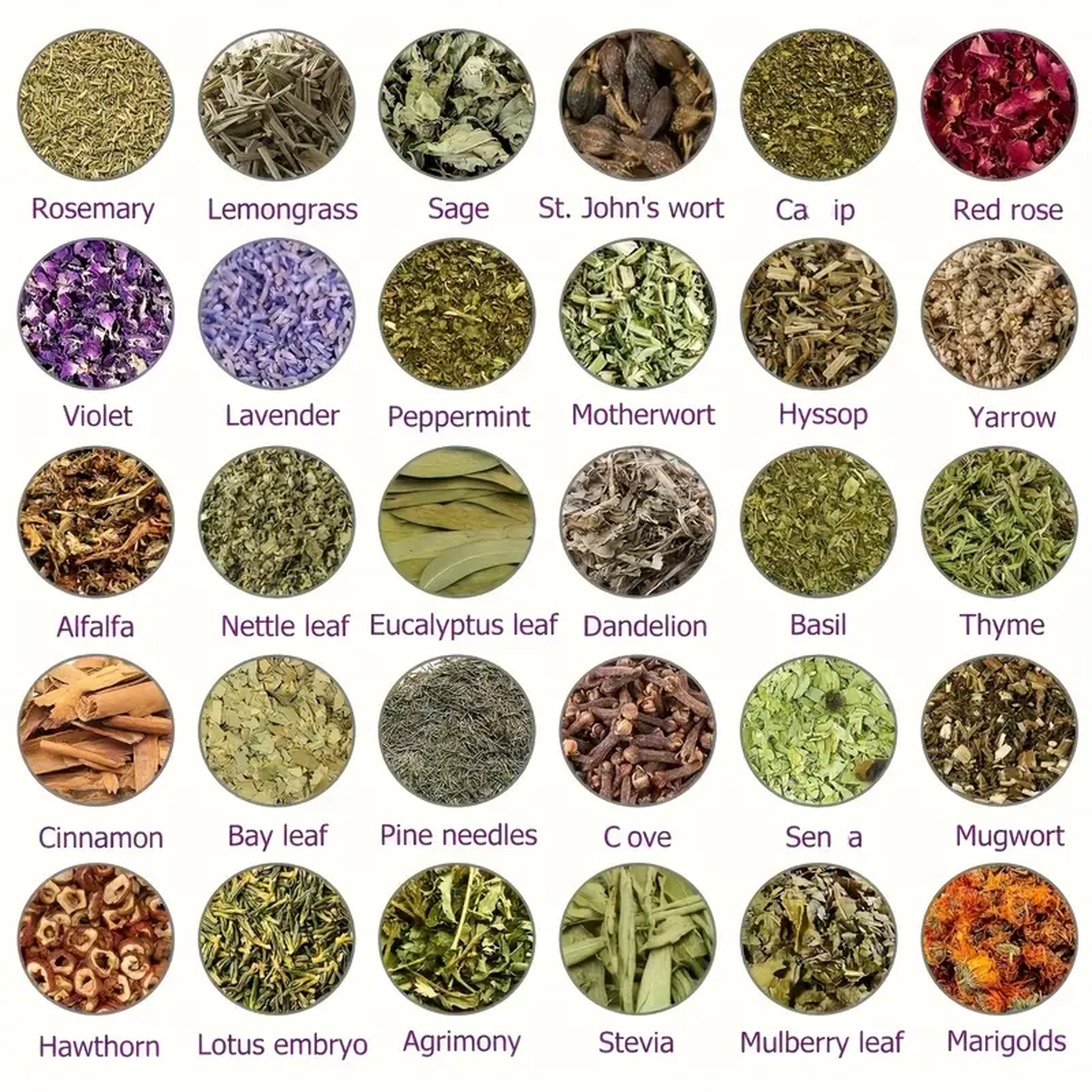 Boreal Simmer Pot Collection – Nature’s Aromatic Alchemy